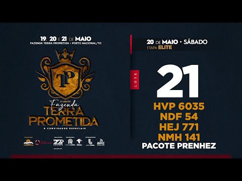 LOTE 21 PACOTE DE PRENHEZ HVP 6035 NDF 54 HEJ 771 NMH 141