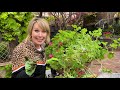 🌸👩🏼‍🌾🌸 My SECRET FORMULA to Plant HANGING BASKETS // Linda Vater