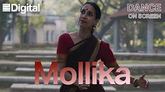 Mollika | Intergenerational Dance Film