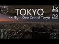 Central tokyo night flight  flight simulator 2020