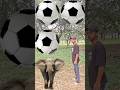 Rounding coconuts to Duck, Peacock, Pigeon &amp; Parrot - Birds names magic video#foryou#plzsupport