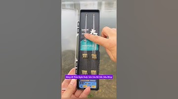 Bảng 20 Thẻo Ngắn câu rô diếc #cauca #fishing