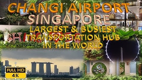 CHANGI AIRPORT  ARRIVAL AND DEPARTURE  EXPERIENCE
