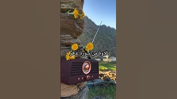تلاوة من سورة غافر 🔥🔥🤍#اكسبلور #لايك #دويتو #راحة_نفسية #قرآن #قصص #صوت_جميل