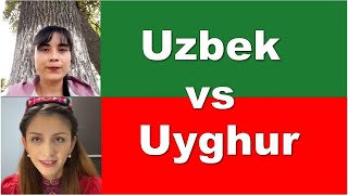 Uzbek VS Uyghur | Language comparison basic phrases