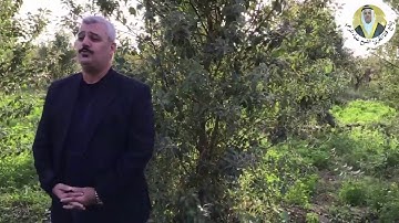 تلاوة قصيرة للمقرئ ضياءالمرعي من سورة الحديد بمقام الصبا وطور الشطراوي