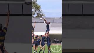 WBHS Rugby vs Durbanville WBHS Rugby vs Durbanville