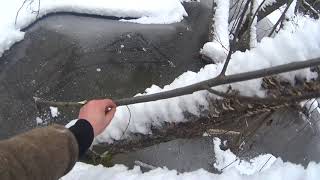 Установка капканов на бобра под лёд..(1) Установка капканов на бобра под лёд..(1)