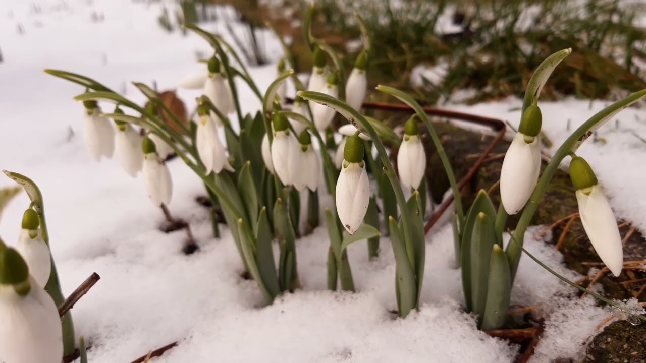 REGGELI CSENDESSÉG - 2026.03.04