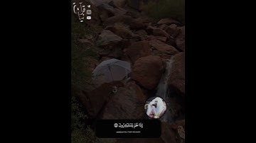 ﴿فَانظُر إِلى آثارِ رَحمَتِ اللَّه كيفَ يُحيي الأَرضَ بعد مَوتِها﴾ من سورة الروم للشيخ بندر بليله🤍.