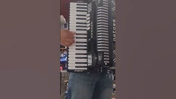 petosa. accordion.
