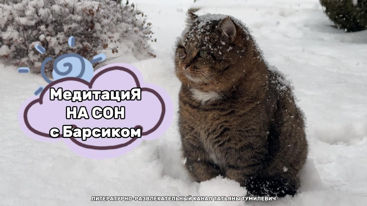 🕊️ Медитация на СОН от БАРСИКА и ТАНИ