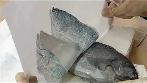 How to make an artisitc gyotaku:serie 5 printing 2...