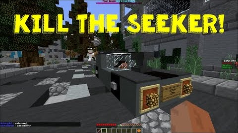 Hide and Seek! Kill the Seeker!