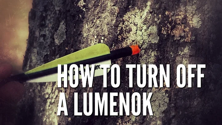 How To Turn Off a Lumenok
