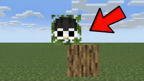 I Shapeshift to Cheat in Minecraft Hide and Seek!