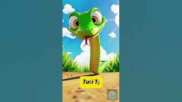 Giải Mã Tính Cách 12 Con Giáp – Con Giáp Của Bạn Nói Gì Về Bạn?