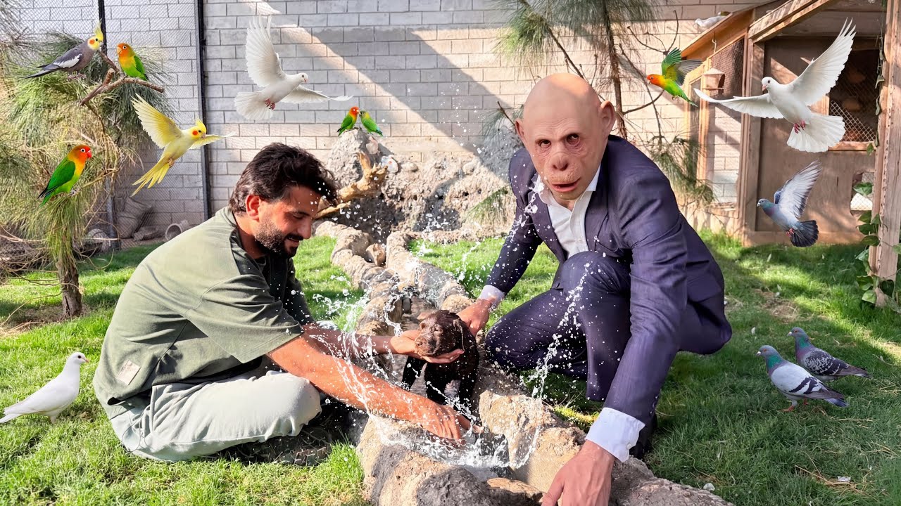 Aj Mainy Or Bala Ny New Puppy Ko Fountain Main Nehlaya😍