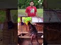 🤣 “Isko dekh ke hasi control nahi hogi!”#shorts