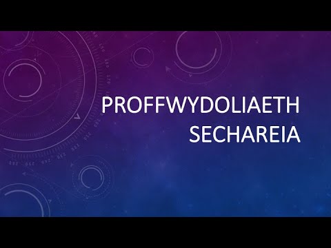Proffwydoliaeth Sechareia