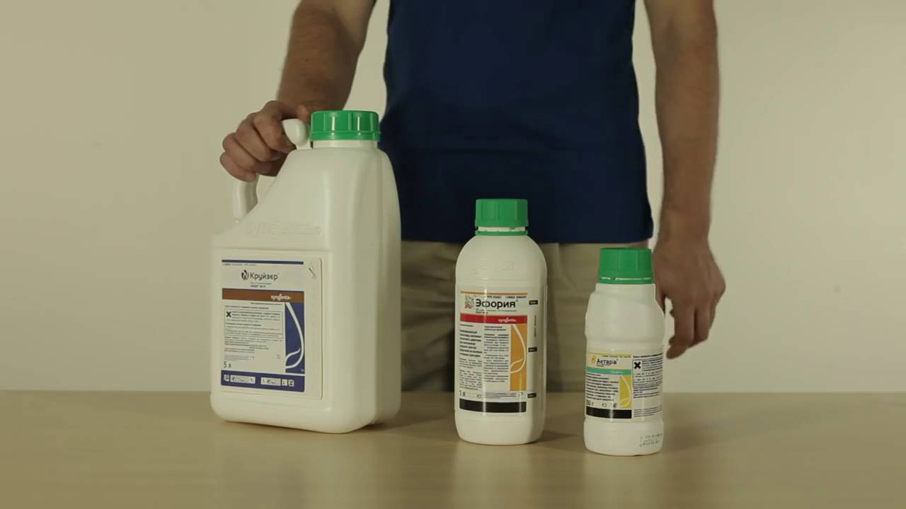 Как отличить оригинальный продукт «Сингенты» от поддельного - YouTube