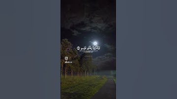 القارئ: #سعود_الشريم #سورة_الذاريات  #قرآن #قران #قران_كريم #قرآن_كريم #explore #اكسبلور #quran