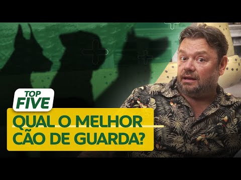 Vídeo: Pergunte a um veterinário: Quais são os 5 melhores cães para crianças?