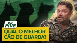 ESSES SÃO OS CINCO MELHORES CÃES DE PROTEÇÃO! | CANAL MAIS PET