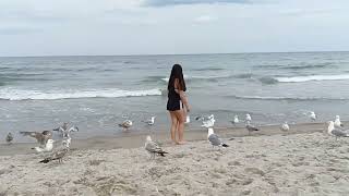 Anna's feeding Seagulls at Hampton Beach, New Hampshire