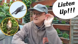 Nightingales, Cuckoos, and More!
Nature sounds and sights in South Essex with my friend Nick Lay
#Panasonic
#FZ82
#birdsong
All footage is my own.
LINKS:
Nicks wildlife adventures on YouTube: https://www.youtube.com/@Nickrobertlay
Down By The Waterside https://youtu.be/EjdCRrivv7o?si=D9ZTKjIFXkz6buLz
What3words locations:
Linford Woods - ///noon.visits.hurry
Stanford Warren (Mucking Church) - ///bolts.deeper.cafe
Thameside Reserve (new hide) - ///sulk.loaded.places
Last location for Nightingales - ///human.blocks.amused
The following music was used for this media project:
Piano Sting by Alexander Nakarada
LIFETIME EXTENDED LICENSE FOR Piano Sting BY Alexander Nakarada since 23.08.2023
Track also available as a free (with attribution) download from: https://filmmusic.io/
On Naturally Curious UK the message is to Keep enjoying the wonders of nature where YOU are!
CONTACT:
Either leave a comment here or via the Facebook page (see below), or by using the contact form on the website (https://naturallycuriousuk.me.uk)
🔴 Subscribe for more of my British Nature & Wildlife videos! https://www.youtube.com/user/TheMisterG777?sub_confirmation=1
Website address: https://naturallycuriousuk.me.uk
Facebook: https://www.facebook.com/NaturallyCuriousUK
Do please also check out my photography:
https://www.flickr.com/photos/misterg777/ Nightingales, Cuckoos, and More!