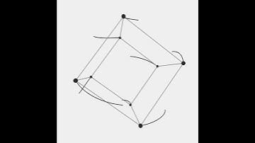 Log of square rotation. Draw by openFrameworks