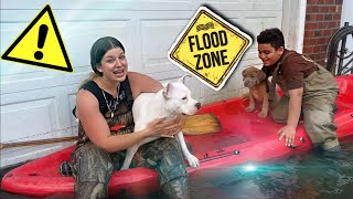 Evacuating My Puppies From INSANE FLOOD ! by Tawny Antle 13,149 views 3 years ago 11 minutes, 6 seconds