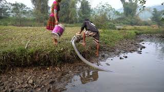 Wild Fishing Exciting, Use A Large Capacity Pump, Catch Many Of Fish In The Lake