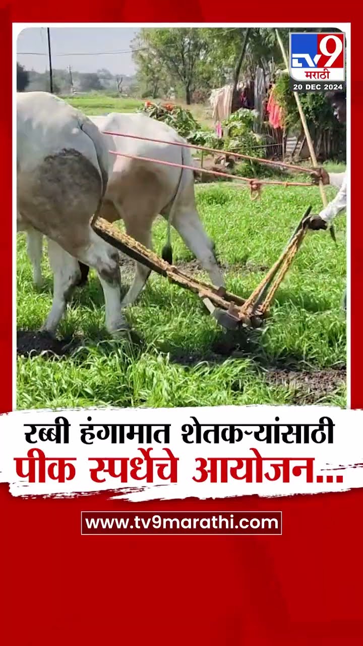Dhule News | धुळे कृषी विभागाच्या माध्यमातून यंदा रब्बी हंगामासाठी शेतकऱ्यांसाठी पीक स्पर्धेचे आयोजन
