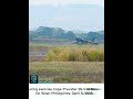 US Military in Action 2026 | part 1531  #Shorts #Military #USMilitary