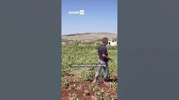 نهر العاصي يحتضر أسوأ جفاف يضرب سوريا منذ نصف قرن 