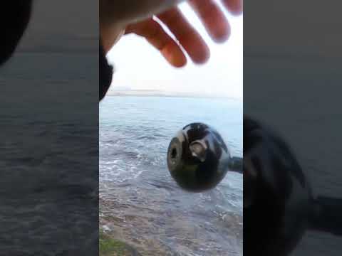 פייט עם מפלצת על סט לייט על דמוי בלזין 85 איזה כייף!