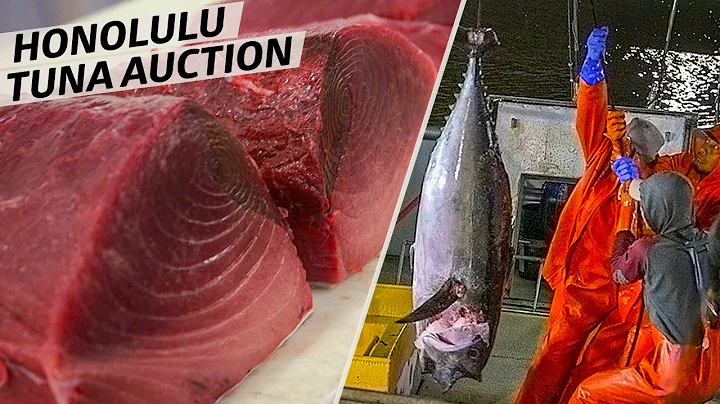 How America's Only Tuna Auction Is Run — Omakase - DayDayNews