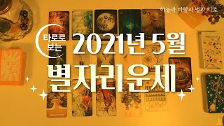 타로로 보는 5월 별자리운세
