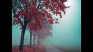 Efkan Şeşen - Vakitsiz -