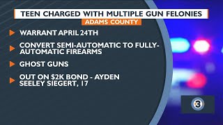 Teen charged with multiple gun felonies