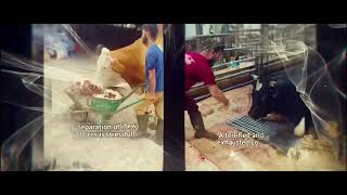 Do No Harm | Official Trailer (India, Dairy &amp; the Hidden Truth)