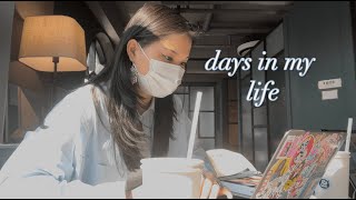 VLOG: DAYS IN MY LIFE IN KOREA / KOREA UNIVERSITY STUDENT