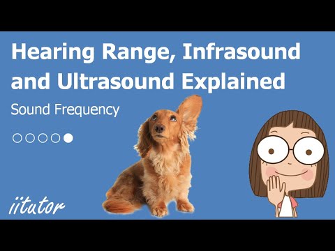 💯 √ The Hearing Range, Infrasound and Ultrasound Explained. Watch this  video to find out! - YouTube
