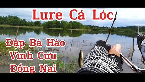Lure Cá Lóc Bà Hào Vĩnh Cửu Đồng Nai _Giao Lưu Cùng Anh Em Cần Thủ