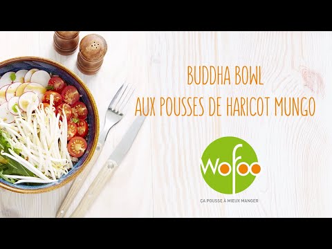 recette-bouddha-bowl-aux-pousses-de-haricot-mungo