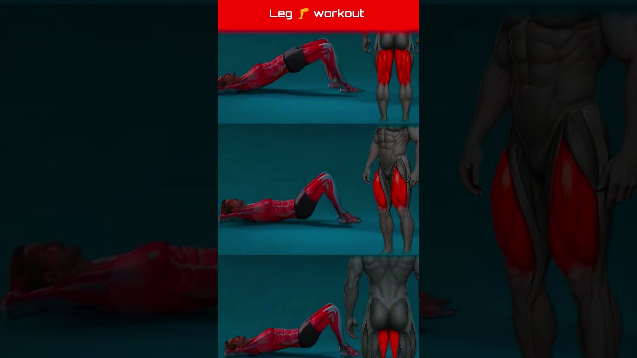 30 MIN KILLER LEG DAY Lower Body Workout At Home No Equipment Toned Legs Glutes Shorts