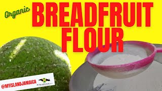 How to Make BREADFRUIT FLOUR - You'd NEVER Guessed It Was This EASY! #JamaicanFood