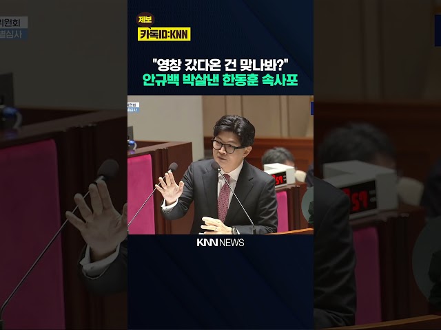"영창 갔다온 건 맞나봐?" 안규백 박살낸 한동훈의 속사포 / KNN