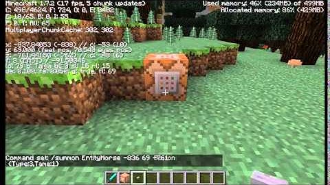 Tutorial: How to Summon a Skeleton and a Zombie Horse on Minecraft